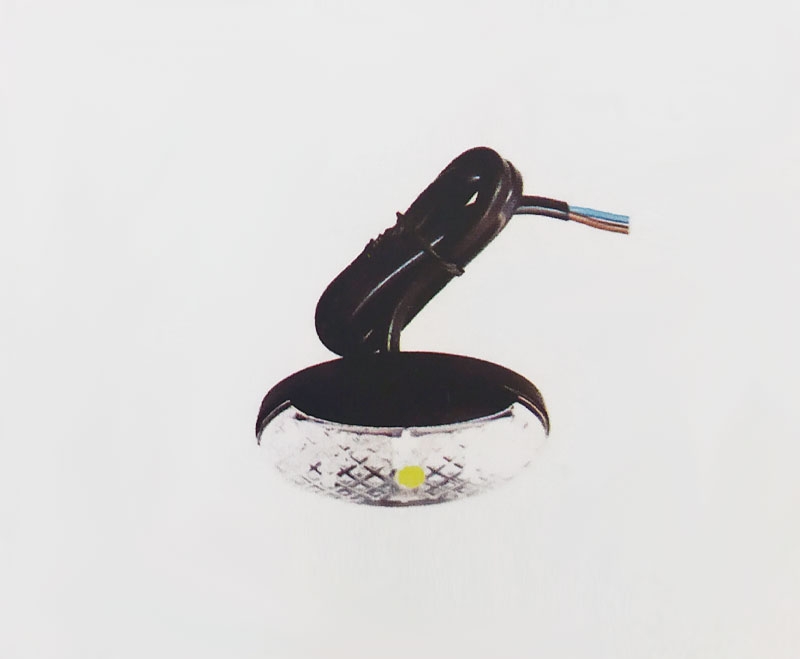 小边灯（食人鱼）